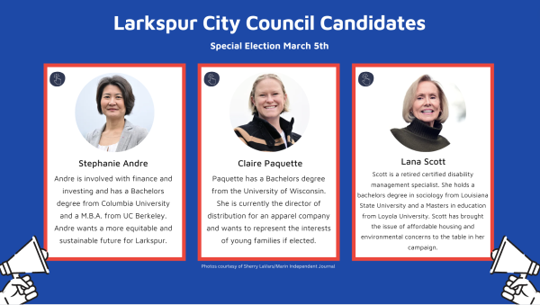 Three candidates face off for one seat on the Larkspur City Council